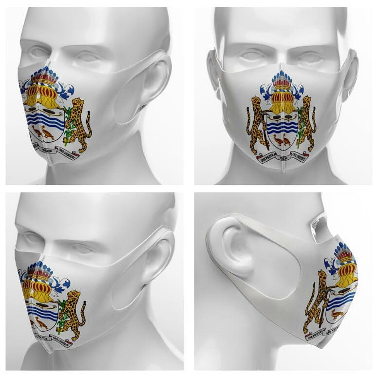 Face Mask