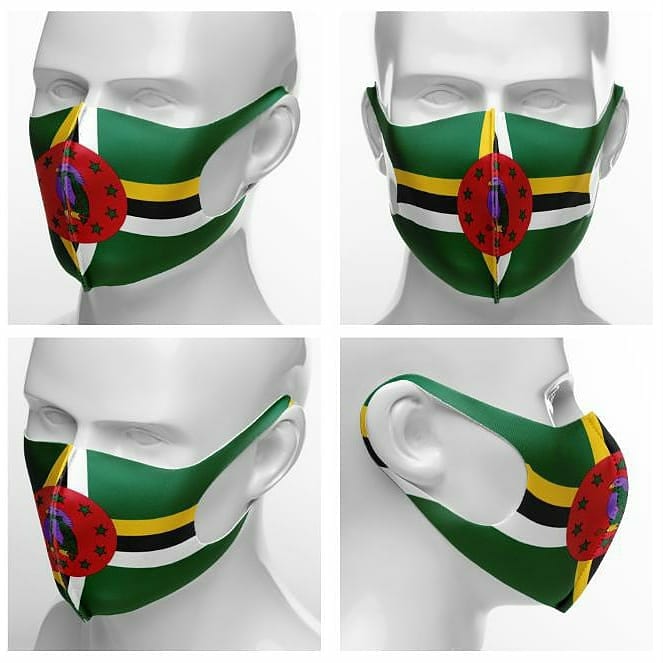 Face Mask